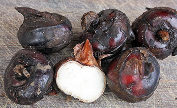 water chestnut corms cut in half