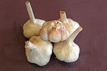 Garlic - Australian White