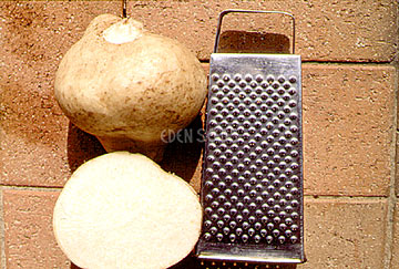 Jicama (Yam Bean) sliced in half