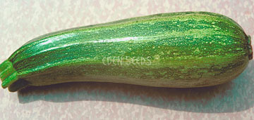 cocozelle zucchini ready to be eaten